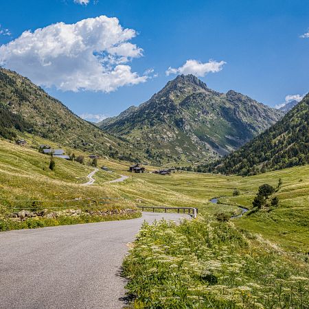 Family routes and magical forests