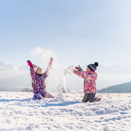 Diversió en trineu i jocs de neu